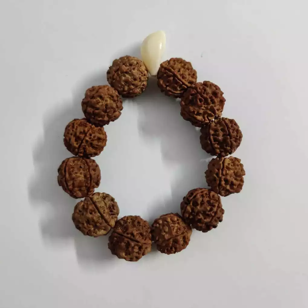 Gents Rudraksha Bracelet